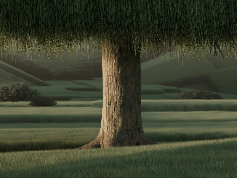 SEO in Portland: Why Rankings Don’t Equal Revenue