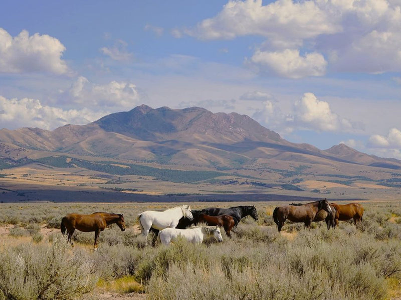 What Makes a Website Rank on Google in 2026