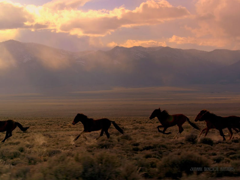 The Economics of Creative Agencies