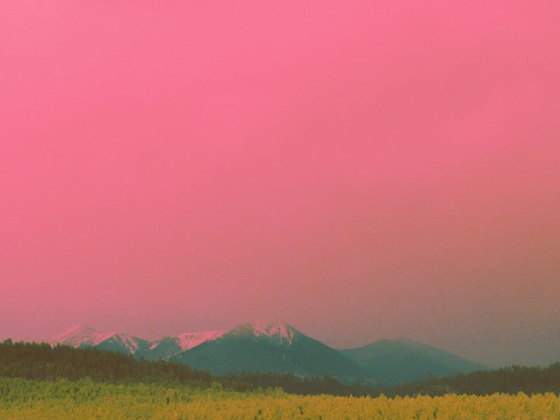 What a High-Converting Portland Website Actually Looks Like