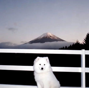 What Separates a Marketing Partner From a Marketing Vendor