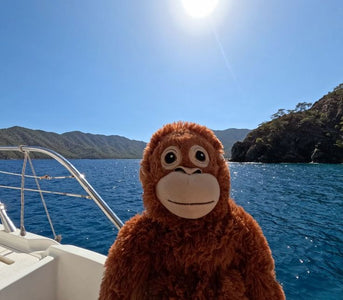 Why Independent Rankings Matter More Than Agency Claims