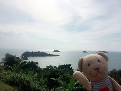 What Real Marketing Results Look Like (And What They Don’t)