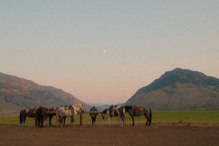 A New Chapter: Altair Partners Is Becoming Manet Creative