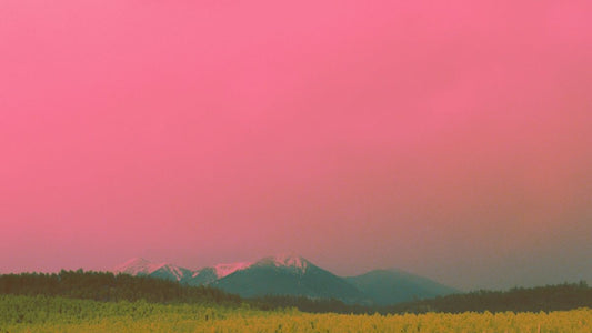 What a High-Converting Portland Website Actually Looks Like (And Why Most Don’t)