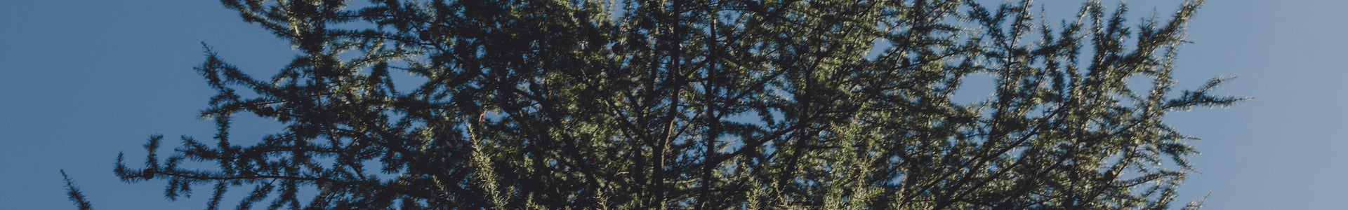 Modern Ad Creation in 2025