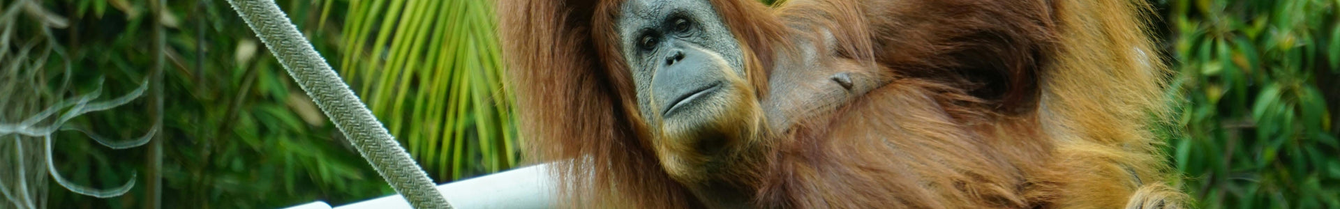 Kindness In Business